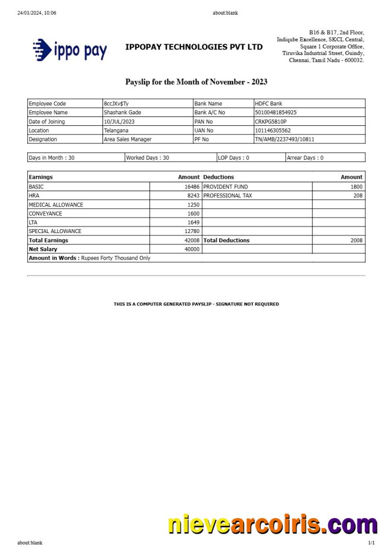 IppoPay Technologies payslip